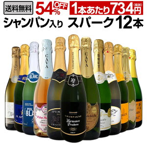 【送料無料】第9弾シャンパン入り!辛口スパークリングワイン12本セット!