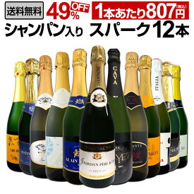【送料無料】第14弾シャンパン入り！辛口スパークリングワイン12本セット！