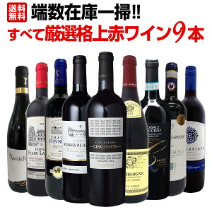 【送料無料】端数在庫一掃!すべて厳選格上赤ワイン9本セット!