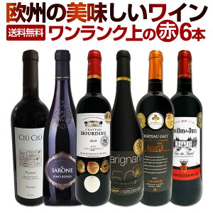 赤ワインセット 【送料無料】第125弾!当店厳選!これぞ極旨赤ワイン!『大満足!充実の飲み応え!』贅沢なスーパー・セレクト赤ワイン 6本セット!ワインセット 赤ワイン フルボディ ミディアムボディ 辛口 飲み比べ 詰め合わせ ギフト プレゼント
