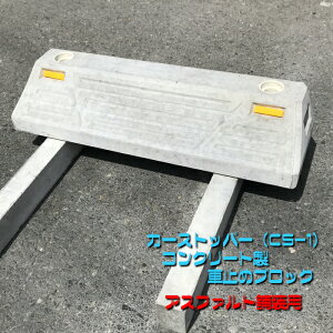 yԎ~߃ubNzJ[Xgbp[iCS-1)60/180×120×600@AXt@gܑp@ubN@΁@ԌɁ@^C~߁@ԏ@p[LOynewyear_d19z