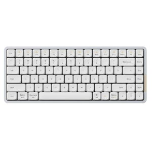 Lofree FLOW ^ѕ֗ ^ [d pz WL[XCb` GHOST(jA) ZKF؎擾 YFN-LOFREE-X[CtCeAX]