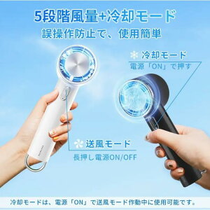 2025i @ {DC[^[  pv[g ڐG⊴ MAX-25p nfB@ 5iK 10hԉғ p[h
