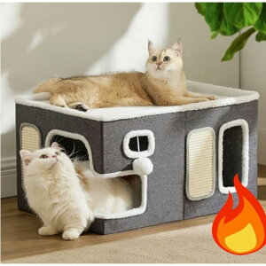 ^2i܂肽ݔLnEXA sisalfށAAʋCQ