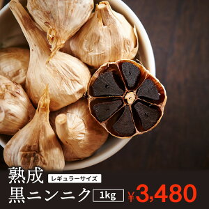 ɂɂ 󂠂 1kg 1000g o^Cv I 500g×2 `s Y n i XY nzCgZЎgp X ɂɂ PC n jjN zւ