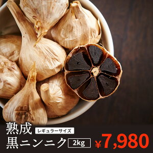 ɂɂ 󂠂 2kg o^Cv 2000g 500g×4 I `s Y n i XY nzCgZЎgp X ɂɂ PC n jjN zւ