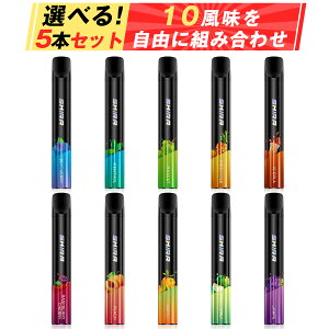 dq^oR ĝ V[V 5{Zbg ^ VAPE 10I xCv |PbgV[V  C΂ ։pC| e ^[ jR`0 SKIRA (Cӂ5)