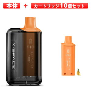 �d�q�^�o�R vape �V�[�V�� 8000��z���\ POD�����^�C�v �{�� �J��Ԃ��[�d ���ʒ��� ���� 11�����I���� �����^�� �V�[�V�� ��e�� �x�C�v �g���̂� �J�[�g���b�W�� �����^�� �����C�^�o�R ��