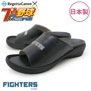 kC{nt@C^[Y Qb^Jk[ fB[X T_ ubN BCFW3500NF { S`LL ʌyiE͏jzy[J[izy/szyv