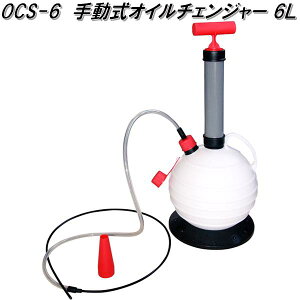 厩HƁ@OCS-6@蓮IC`FW[ 6L@OCS6y񂹏izԁ@oCN@IC@@