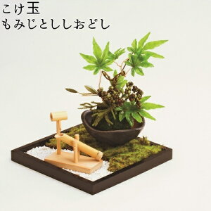 t[bNX@KD-272@ʘa뉀@݂Ƃǂy[J[izy/szyFLOREX@ʁ@ۋʁz