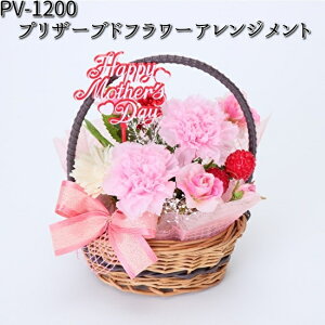 PV-1200 vU[uht[AWg t[bNX PV1200yiE͏jzy[J[izy/szy t[ AWg z