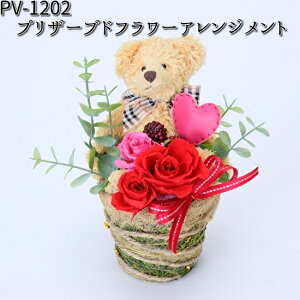 PV-1202 vU[uht[AWg t[bNX PV1202yiE͏jzy[J[izy/szy t[ AWg z