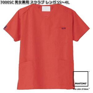 FOLK@7000SC-15@pg@jp@XNu@K@SS`4L@tH[N@PANTONE y񂹐izjZbNX@XNu@ÃjtH[@ fBJEFA@fBJi