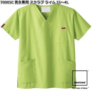 FOLK@7000SC-6@pg@jp@XNu@C@SS`4L@tH[N@PANTONE y񂹐izjZbNX@XNu@ÃjtH[@ fBJEFA@fBJi