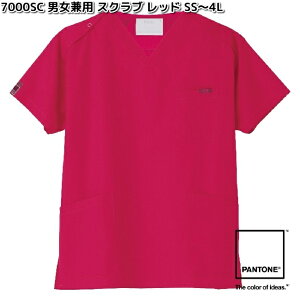 FOLK@7000SC-8@pg@jp@XNu@bh@SS`4L@tH[N@PANTONE y񂹐izjZbNX@XNu@ÃjtH[@ fBJEFA@fBJi