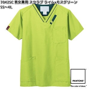 FOLK@7042SC-6@pg@jp@XNu@C×XO[@SS`4L@tH[N@PANTONE y񂹐izjZbNX@XNu@ÃjtH[@ fBJEFA@