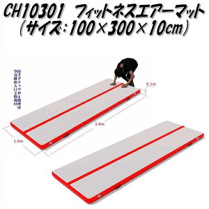 wX@CH10301@tBbglXGA[}bg@100×300×10cm@敪Ey[J[zy/szyg[jO}bg tBbglX}bgz