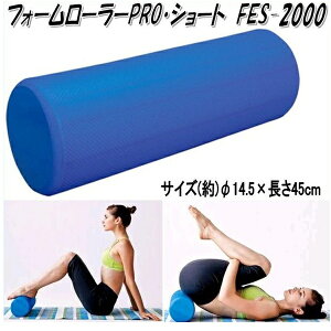 yʓr|܂(S)zwX@FES-2000@tH[[[PROEV[gy[J[zy/szy}bT[W[[ Xgb`[[z