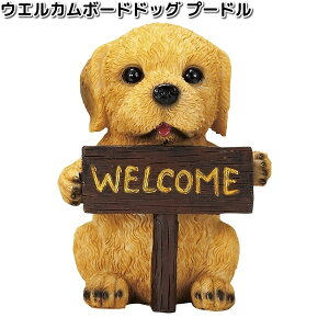 H9272@EGJ{[hhbO@v[h@13.5x10xH18.5cm@GC`c[I[@H-9272y[J[zy/szH2O@K[fu@CeAu@|u@ʁ@Ck@