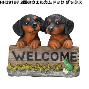 HH29197�@2�C�̃E�G���J���h�b�N�@�_�b�N�X�@��31x15xH28cm�@�G�C�`�c�[�I�[�@HH-29197�y���[�J�[�����z�y�����/�����s�zH2O�@�E�G���J���{�[�h�@�{�[�h�@���|�p�i�@�K�[�f�j���O�@�I�[�i����