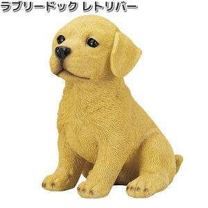 HH30397@u[hbOhbN@go[@I[ig@13x17.5xH20cm@GC`c[I[@HH-30397y[J[zy/szH2O@K[fu@CeAu@|u@h