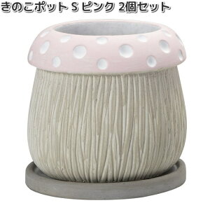 HH30466@̂|bg@S@sN@2Zbg@Aؔ@15x15xH14cm@GC`c[I[@HH-30466y[J[zy/szH2O@K[fjO@CeA@|@@v^[@