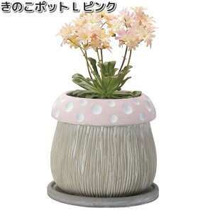 HH30467@̂|bg@L@sN@1@Aؔ@18x18xH16.5cm@GC`c[I[@HH-30467y[J[zy/szH2O@K[fjO@CeA@|@@v^[@̂