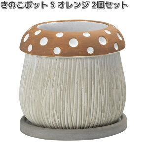 HH30468@̂|bg@S@IW@2Zbg@Aؔ@15x15xH14cm@GC`c[I[@HH-30468y[J[zy/szH2O@K[fjO@CeA@|@@v^[