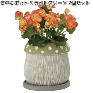 HH30474@̂|bg@S@CgO[@2Zbg@Aؔ@15x15xH14cm@GC`c[I[@HH-30474y[J[zy/szH2O@K[fjO@CeA@|@@v