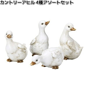 HH30497@Jg[Aq@4A\[gZbg@8.5x10xH15cm@GC`c[I[@HH-30497y[J[zy/szH2O@K[fu@CeAu@|u@Aq@Ђ