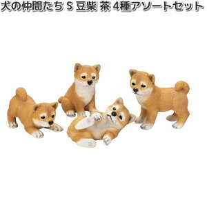 HH30591@̒Ԃ@S@ā@@4A\[gZbg@I[ig@16.5x9xH18cm@GC`c[I[@HH-30591y[J[zy/szH2O@K[fu@CeAu@