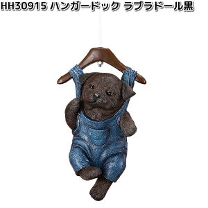 HH30915�@�n���K�[�h�b�N�@���u���h�[�����@�I�[�i�����g�@��11.5x8.5xH26cm�@�G�C�`�c�[�I�[�@HH-30915�y���[�J�[�����z�y�����/�����s�zH2O�@�K�[�f���u���@�C���e���A�u���@���|�u���@����