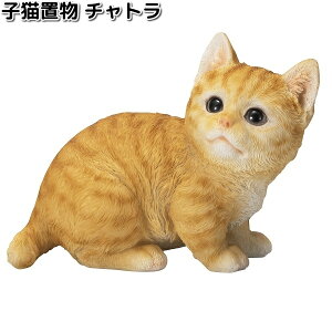 HH31351@qLu@`g@17x9.2xH13.2cm@GC`c[I[@HH-31351y[J[zy/szH2O@K[fu@CeAu@|u@˂@lR@L