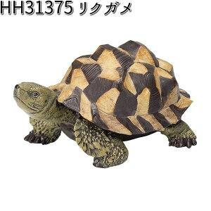 HH31375 NK 2Zbg I[ig GC`c[I[ HH-31375 y[J[zy/szyK[fu CeAu |u H2Oz