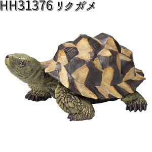 HH31376 NK 2Zbg I[ig GC`c[I[ HH-31376 y[J[zy/szyK[fu CeAu |u H2Oz