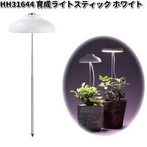 HH31644@琬Cg@XeBbN@zCg@p@GC`c[I[@HH-31644y[J[zy/szH2O@A@LED@LEDCg