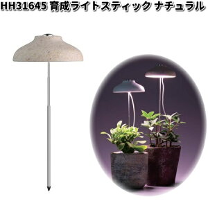 yזzHH31645@琬Cg@XeBbN@i`@p@GC`c[I[@HH-31645y[J[zy/szH2O@A@LED@LEDCg