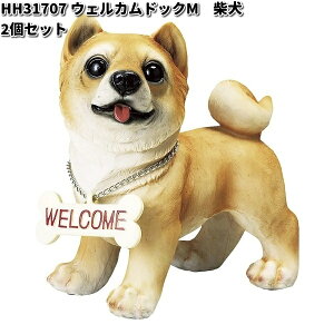 HH31707@EFJhbO@M@Č@2Zbg@I[ig@GC`c[I[@HH-31707 y[J[zy/szK[fu CeAu |u H2O