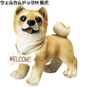 HH31707@EFJhbNM@Č@18x9xH17cm@GC`c[I[@HH-31707y[J[zy/szH2O@K[fu@CeAu@|u@ʁ@Ck@@hbO@hb