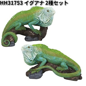 HH31753�@�C�O�A�i�@2�Z�b�g�@�I�[�i�����g�@�G�C�`�c�[�I�[�@HH-31753 �y���[�J�[�����z�y�����/�����s�z�K�[�f���u�� �C���e���A�u�� ���|�u�� H2O