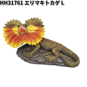 HH31761@G}LgJQ@L@I[ig@GC`c[I[@HH-31761 y[J[zy/szK[fu CeAu |u H2O