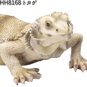 yזzHH8168 gJQ I[ig GC`c[I[ HH-8168 tASqQgJQ y[J[zy/szyK[fu CeAu |u H2Oz