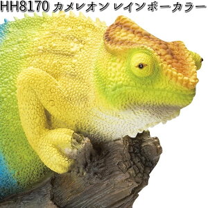 HH8170 �J�����I�� ���C���{�[�J���[ �I�[�i�����g �G�C�`�c�[�I�[ HH-8170 �y���[�J�[�����z�y�����/�����s�z�y�K�[�f���u�� �C���e���A�u�� ���|�u�� H2O�z