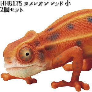 HH8175 �J�����I�� ���b�h �� 2�Z�b�g �I�[�i�����g �G�C�`�c�[�I�[ HH-8175 �y���[�J�[�����z�y�����/�����s�z�y�K�[�f���u�� �C���e���A�u�� ���|�u�� H2O�z