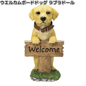 HH8205�@�E�G���J���{�[�h�h�b�O�@���u���h�[���@��16x16xH30cm�@�G�C�`�c�[�I�[�@HH-8205�y���[�J�[�����z�y�����/�����s�zH2O�@�K�[�f���u���@�C���e���A�u���@���|�u���@���ʁ@�C�k�@��