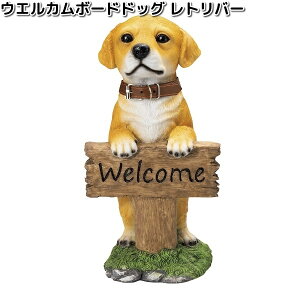 HH8207@EGJ{[hhbO@go[@16x16xH30cm@GC`c[I[@HH-8207y[J[zy/szH2O@K[fu@CeAu@|u@ʁ@Ck@