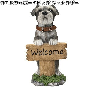 HH8208@EGJ{[hhbO@ViEU[@16x16xH30cm@GC`c[I[@HH-8208y[J[zy/szH2O@K[fu@CeAu@|u@ʁ@Ck@