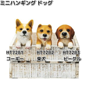 HT7282@~jnMO@hbO@Č@8x5.5xH14.5cm@GC`c[I[@HT-7282y[J[zy/szH2O@K[fu@CeAu@|u@ʁ@Ck@@hbO