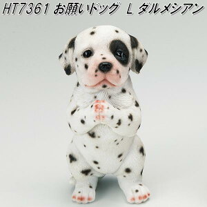 yזzGC`c[I[@HT7361@肢hbNL@_VA@H-7361y[J[zy/szỹK[fu CeAu |uz